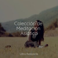Meditación Entusiasta - Canciones de Cuna 101 & Música de la Naturaleza & Meditación Guiada