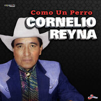 Golondrina De Ojos Negros - Cornelio Reyna