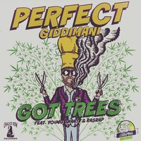 Got Trees - Perfect Giddimani & Young Shanty & Rasrap