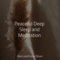 Patched Sunlight - Soothing Chill Out For Insomnia & Musica Relaxante & Relaxation Sleep Meditation
