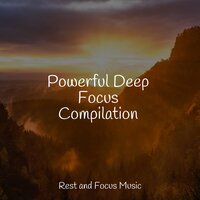 Sonic Adventures - Meditation Music Club & Sleepy Times & Powerthoughts Meditation Club