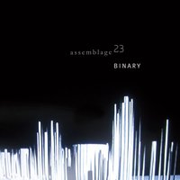 Binary - Assemblage 23