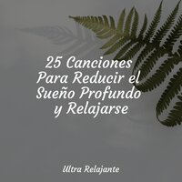 Calma Duradera - Academia de Música para Massagem Relaxamento & Fabricantes De Lluvia & Musica relajante con sonidos de la naturaleza