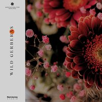 Seashell's Security - Meditation for Healing