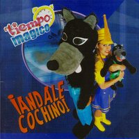 Ándale Cochino - TIEMPO MAGICO
