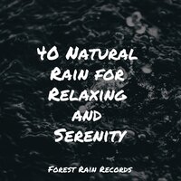 Birds in Rainforest Paradise - Meditation Relaxation Club & Water Soundscapes & Sons da Natureza