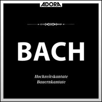 Bauernkantate für Orchester und Stimmen, BWV 212, "Mer hahn en neue Oberkeet": No. 5, Der Herr ist gut (Recitativ) - Württembergisches Kammerorchester & Rudolf Ewerhart & Ursula Buckel & Claus Ocker & Johann Sebastian Bach