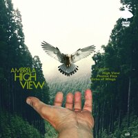 Photon Flux - Ambrela