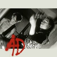 Viesti - Ad