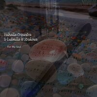For My Soul - Valhalla Orquestra & Ludmilla W Strakowa