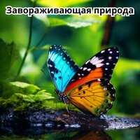 Летние поля - Музыка для расслабления вашей жизни & Tranquilidad Infinita & Мелодия в горе