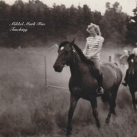 These Things Called Changes - Mikkel Mark & Anders Christensen & Kresten Osgood