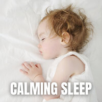 Better Than People - The Sleepy Sounds