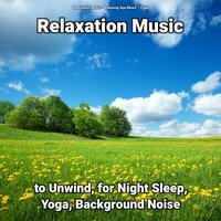 Relaxation Music Part 47 - Meditation Music & Relaxing Spa Music & Yoga