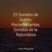 Meditación De Lluvias Calmantes - Musica Relajante Specialistas & Naturaleza & Relajante Academia de Música Zen