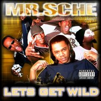 Lets Get Wild ! - Mr. Sche