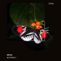 Insects - Eriva