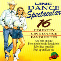 I Try to Think About Elvis - Nashville Session Singers