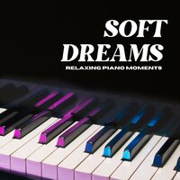 Tranquil Reflections - Relaxing Piano Moments
