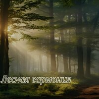 Лунная соната, Ч. 2 - Музыка для снятия стресса & Музыка для кондиционирования дома & Музыка для расслабления и счастливого дома