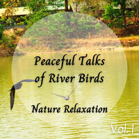 Calm By Nature - Sleeping Music Academy & Native American Nature & Natures Orchestra