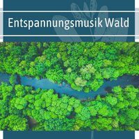 Süße Nacht - Healing Markrain