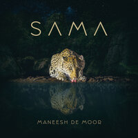 Silent Awakening - Maneesh de Moor