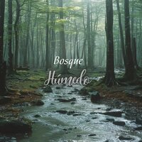 Lluvia de positividad - Musica para campar en un dia lluviosos