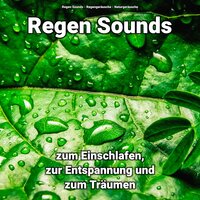 Regengeräusche für Meditation - Regengeräusche & Regen Sounds & Naturgeräusche