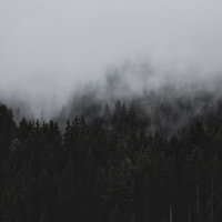 Drifting - Relajante & The Rain Library & Soothing Nature Sounds