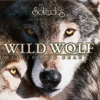 Shelter the Young - Dan Gibson's Solitudes