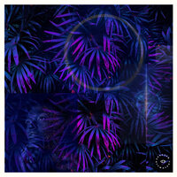Glow In The Dark - Krynoze & Muni