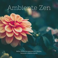 Verdadeiro Relaxamento - André Zen Pássaros