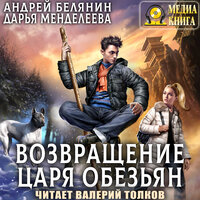Андрей Белянин, Дарья Менделеева. «Возвращение царя обезьян. Серия "Царь обезьян". Книга #2.». Часть 10 - Валерий Толков