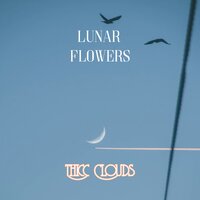 Movement of the Spirit - Thicc Clouds
