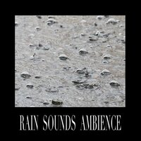 Distant Rain - Rain Sounds HD
