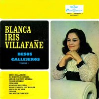 Amor de Mi Vida - Blanca Iris Villafañe