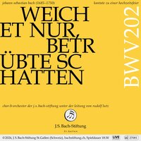 Weichet nur, betrübte Schatten, BWV 202 "Wedding Cantata": No. 8, So sie das Band der keuschen Liebe - Orchester der J.S. Bach-Stiftung & Carolyn Sampson & Rudolf Lutz & Johann Sebastian Bach