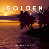 House Grooves - Mr. Deep House