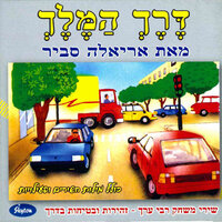 גלגלים - Ariela Savir