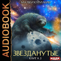 Матвей Курилкин. «Звезданутые. Книга 3. Звезданутые во мгле». Часть 19 - Тася Миролюбова & SIBIRYAK