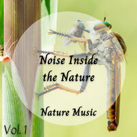 Hot Forest - Nature's Noise & Concentration Music for Work & Dog Relaxation