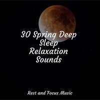 Heavenly Cloud - Spa Zen & Native American Flute & Study Concentration
