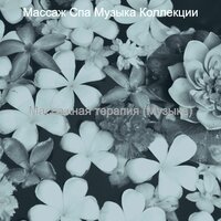 Впечатление (Массажная терапия) - Массаж Спа Музыка Коллекции