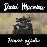 Femeie usoara - Dani Mocanu