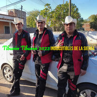 La Del Moño Colorado - Indiscutibles De La Sierra