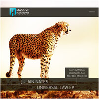 Universal Law - Julian Nates
