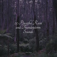 Surface Rain - Smart Baby Lullaby & Thunderstorms & Ambient Arena