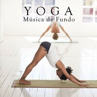 Nova Era Harmonia Zen - Meditação Música Ambiente
