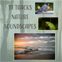 Guided Meditation for Inner Bliss - Reiki Healing Consort
